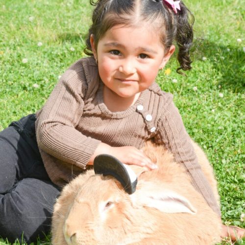 Easter-2025-94-of-157-scaled-1-700x1049