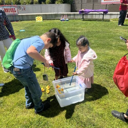 Summer-Carnival-2-500x667