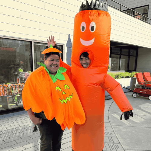 Website-1400x1400-14-500x500