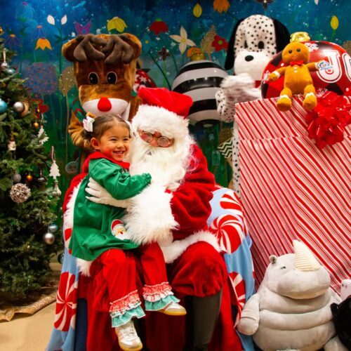 Website 1400x1400 - 4